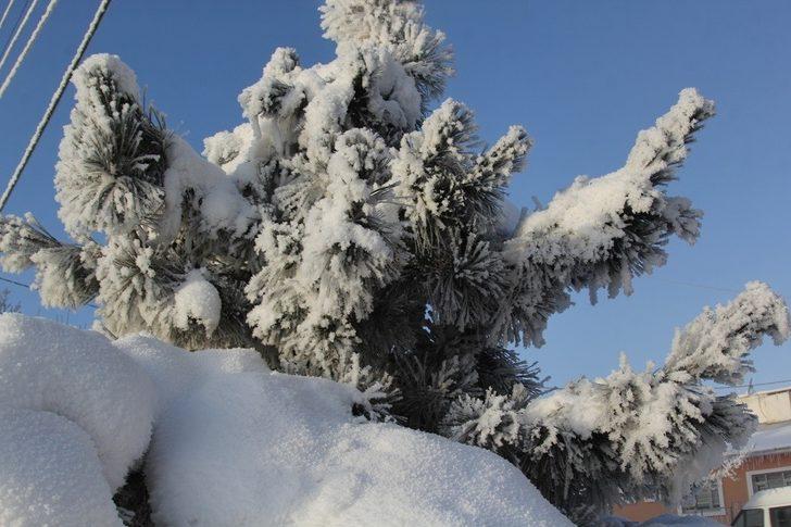 Başkale’de hayat adeta buz kesti G5