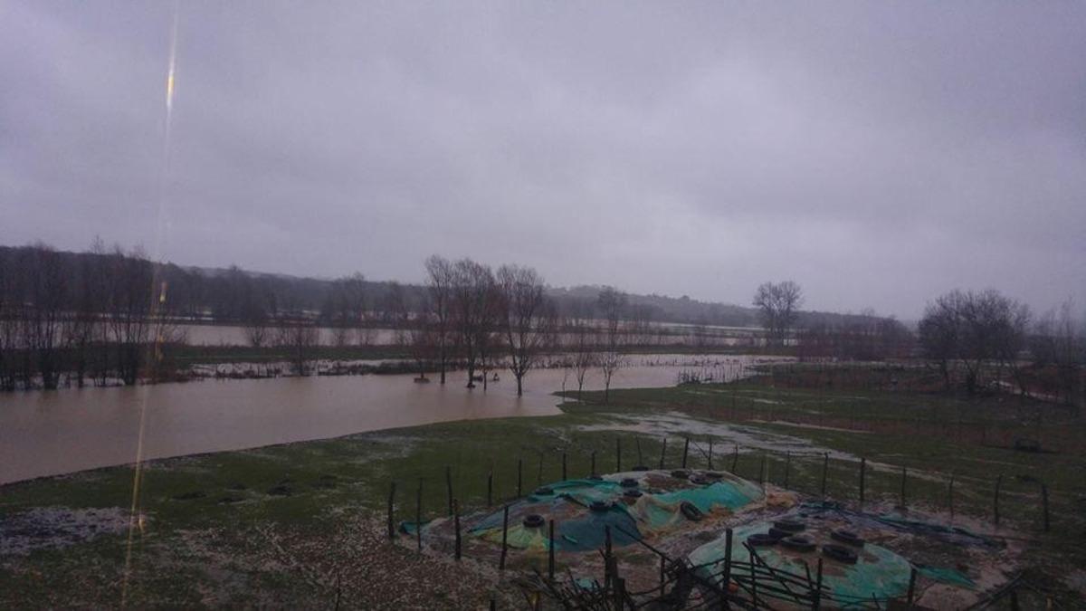 Kaynarca&rsquo;da tarım arazilerinin bir kısmı sular altında kaldı