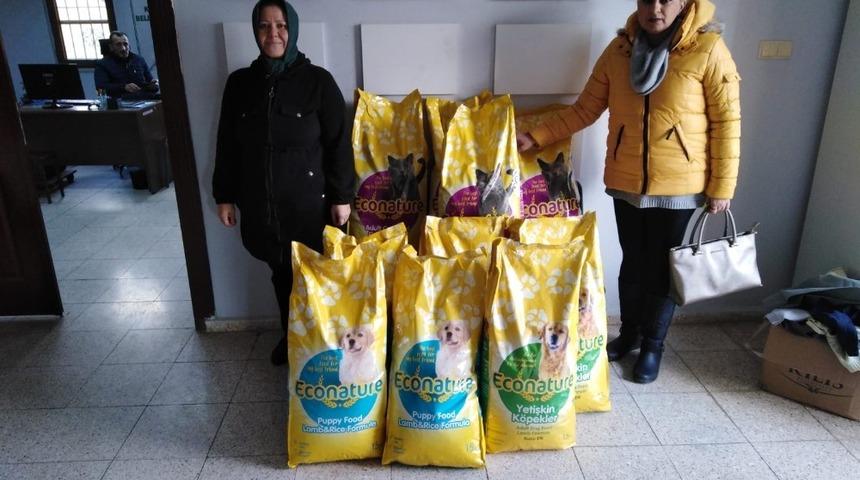 Sokak Hayvanlarına mama desteği