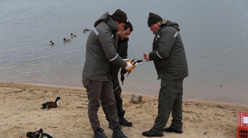 Yeşilbaşlı &ouml;rdekler tedavi altına alındı