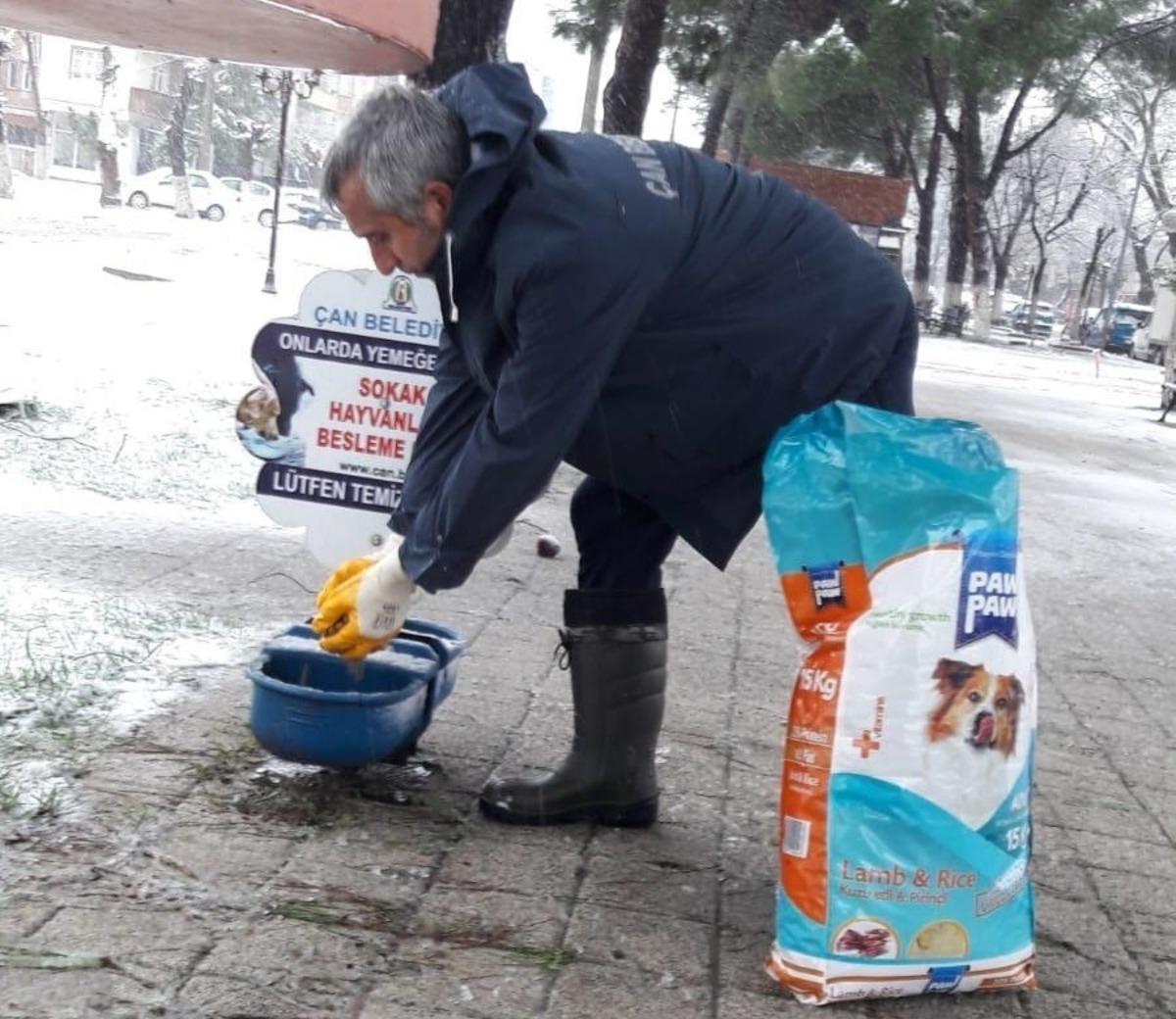 &Ccedil;an Belediyesi sokak hayvanlarını unutmadı