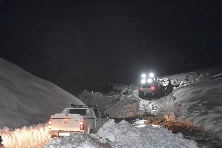 Hakkari’de dağlık alanda mahsur kalan atlar kurtarıldı G2