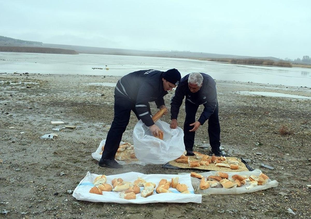 Doğadaki hayvanlar a&ccedil; kalmasın diye yem bıraktılar