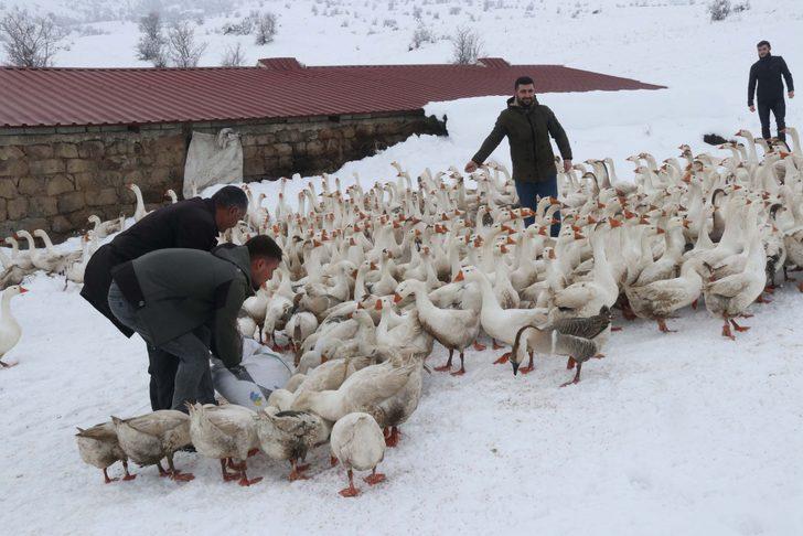Güroymak kazı Kars kazına rakip oldu G2