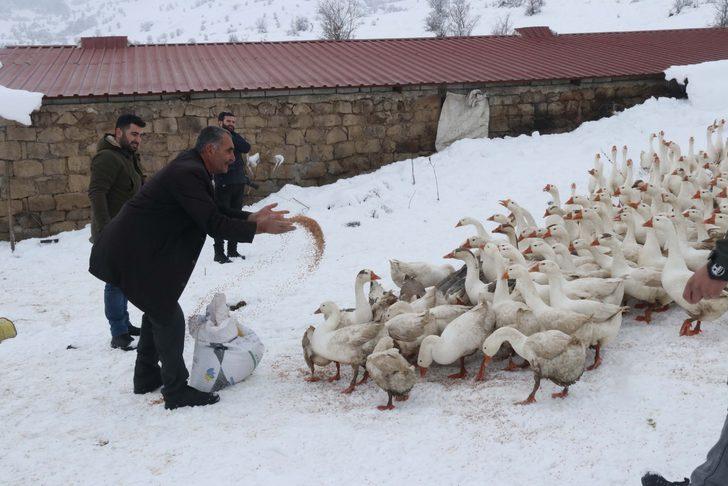 Güroymak kazı Kars kazına rakip oldu G3