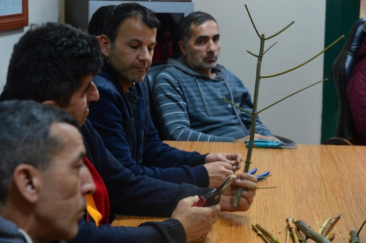 Apartman g&ouml;revlilerine MEB onaylı budama eğitimi