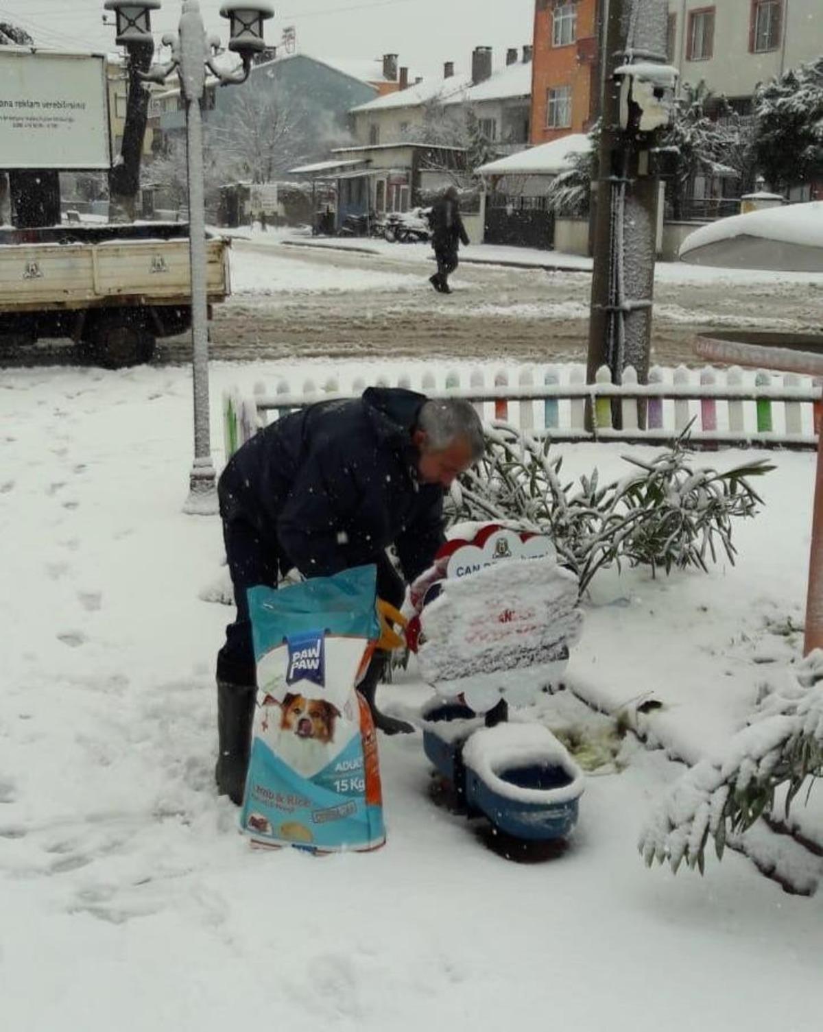 &Ccedil;an Belediyesi sokak hayvanlarını unutmadı