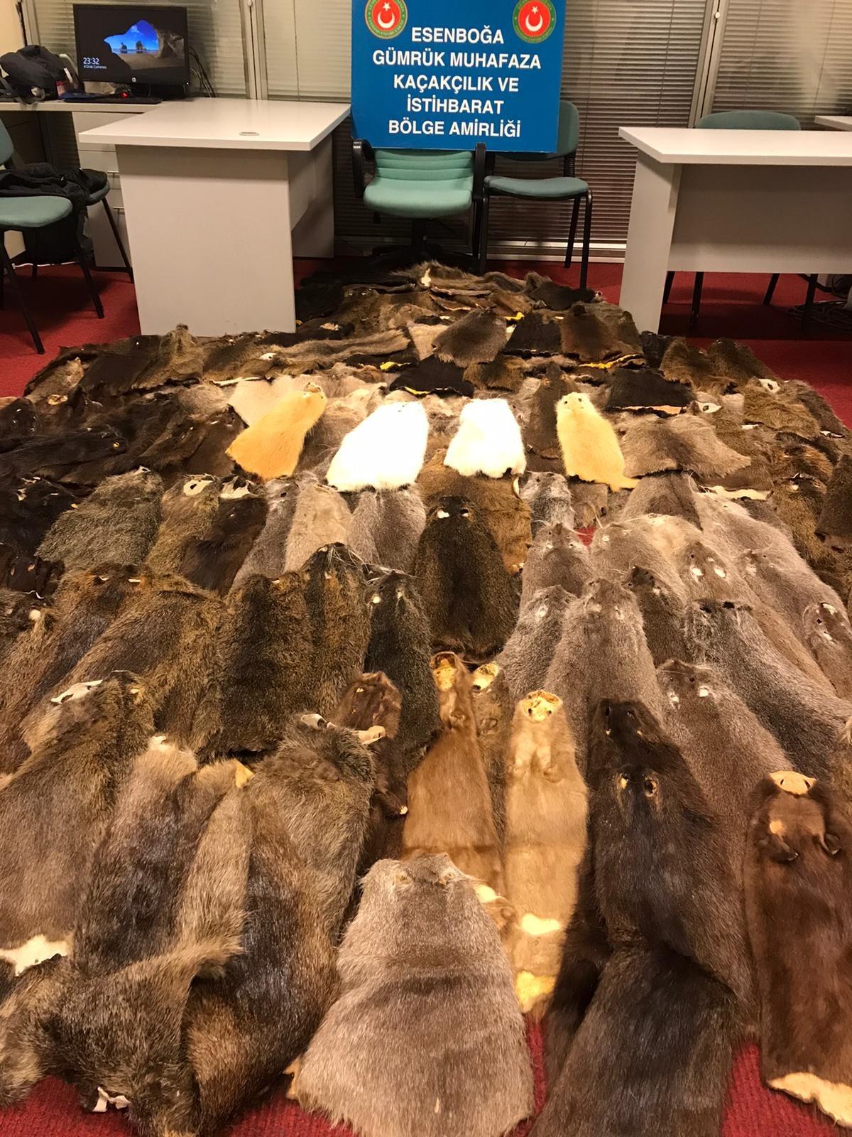 Esenboğa Havalimanı'nda 240 kunduz postu ele ge&ccedil;irildi