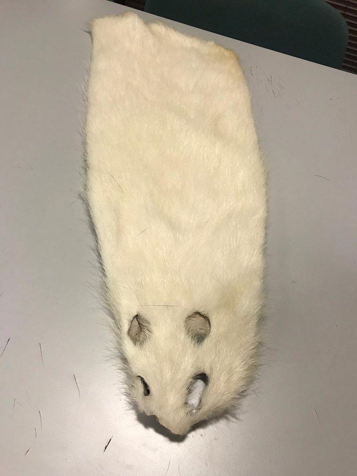 Esenboğa Havalimanı'nda 240 kunduz postu ele geçirildi G3