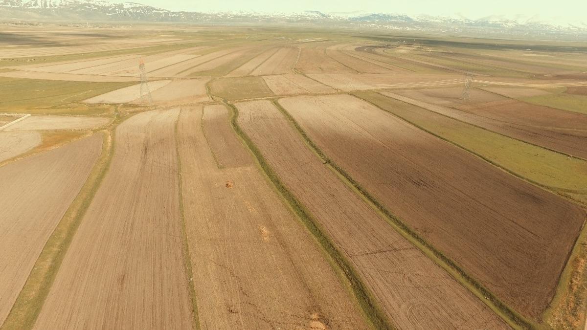 Erzurum, Ağrı ve Erzincan&rsquo;da toplulaştırma &ccedil;alışmaları devam ediyor