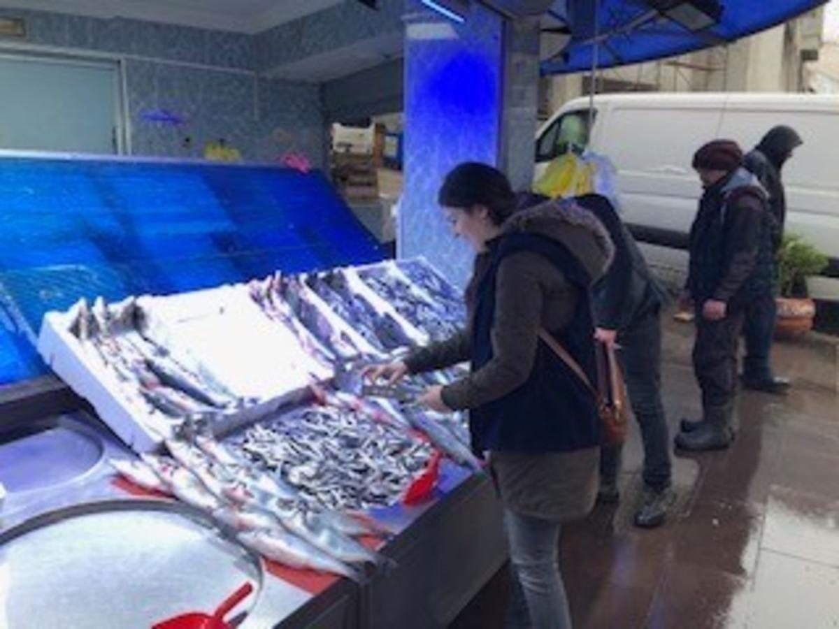 Bilecik&rsquo;te balık&ccedil;ılar denetlendi