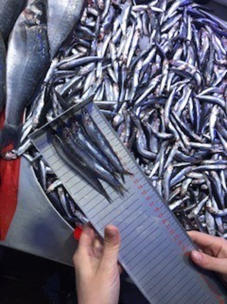 Bilecik’te balıkçılar denetlendi G3