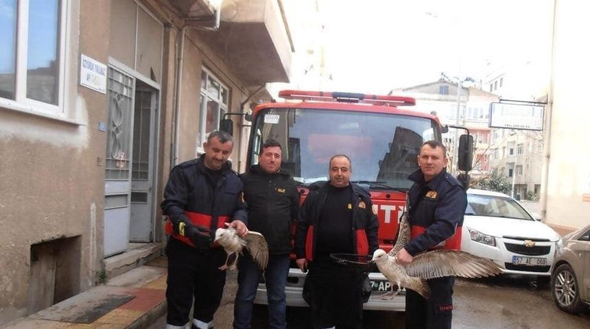 Sinop İtfaiyesinin 2019 karnesi