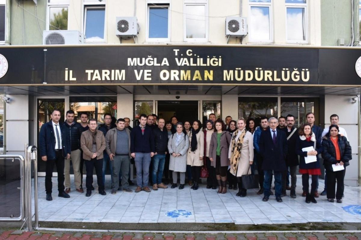 Eğiticilere &rsquo;zeytinde budama&rdquo; eğitimi verildi