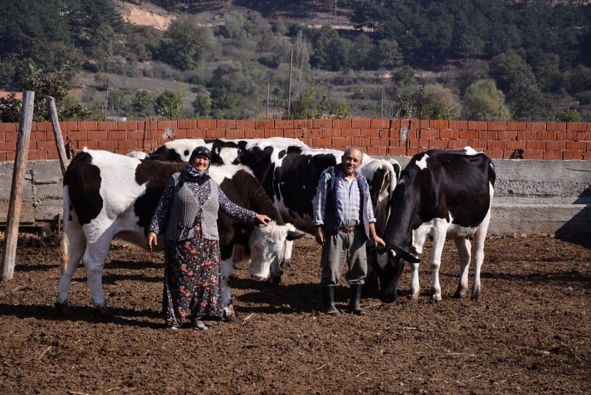 Orman k&ouml;yl&uuml;s&uuml;ne 5 milyon 600 bin lira destek