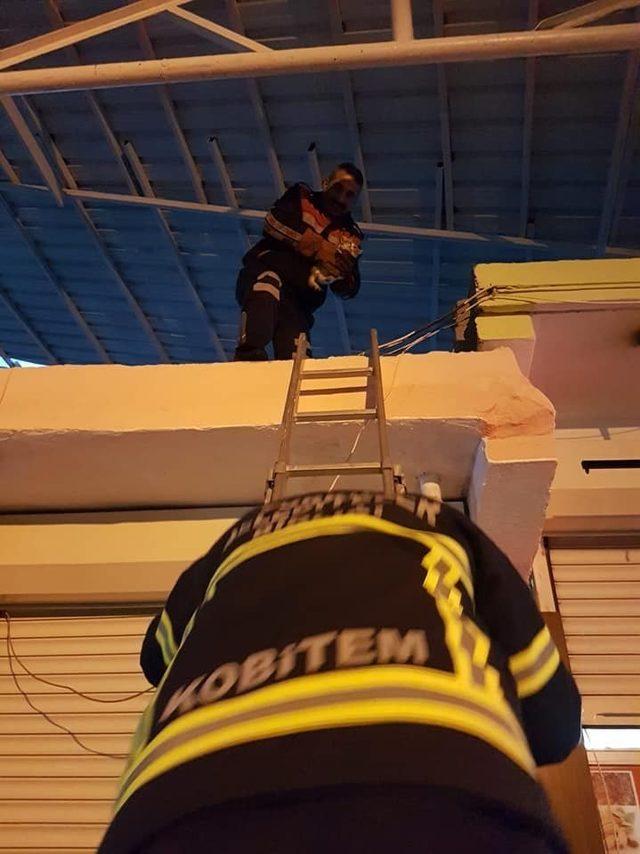 &Ccedil;atıda mahsur kalan kediyi itfaiye kurtardı 1