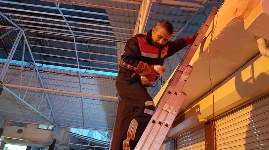 &Ccedil;atıda mahsur kalan kediyi itfaiye kurtardı