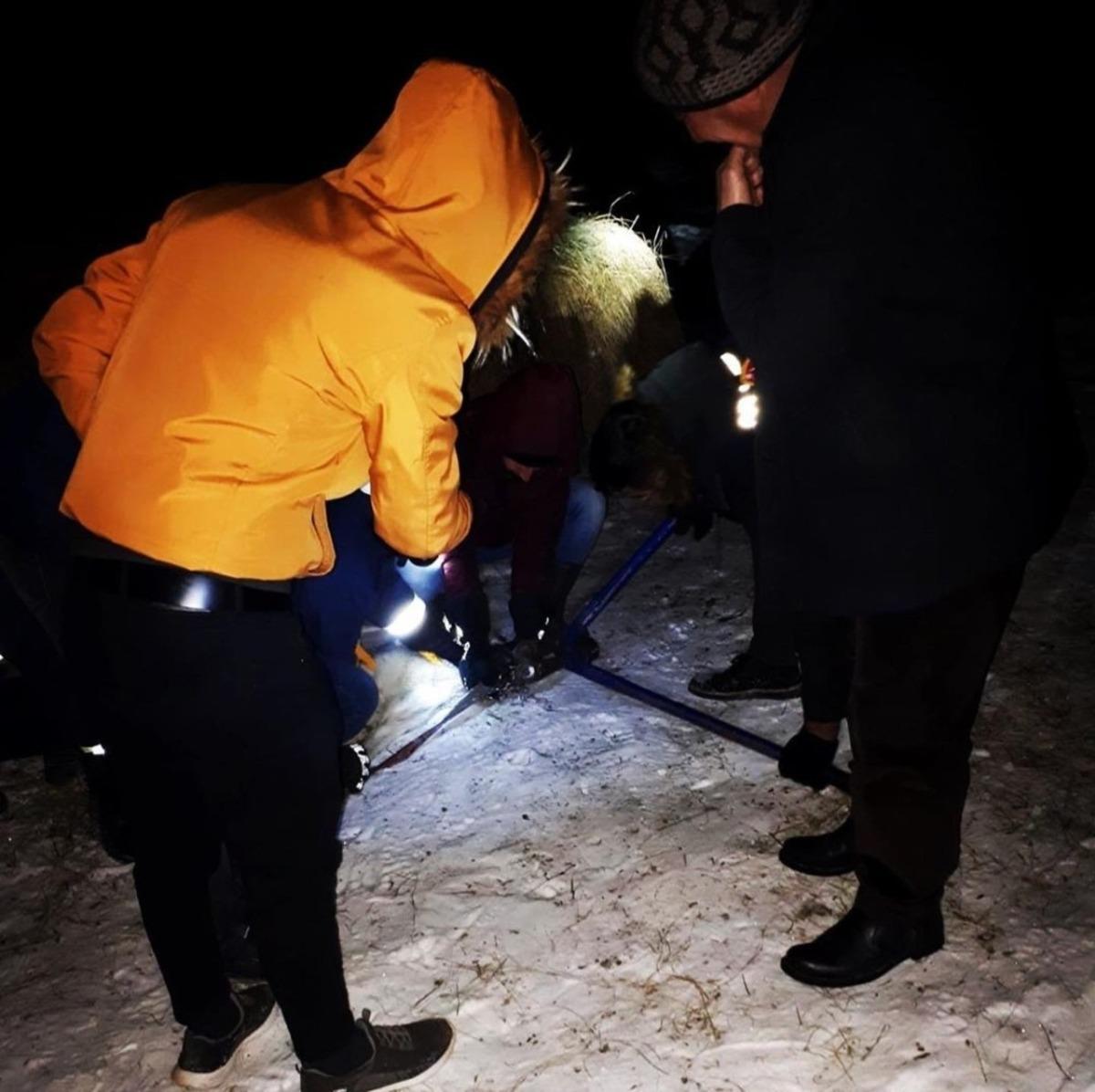 Boynuna tel dolanan k&ouml;peğin imdadına itfaiye ekipleri yetişti