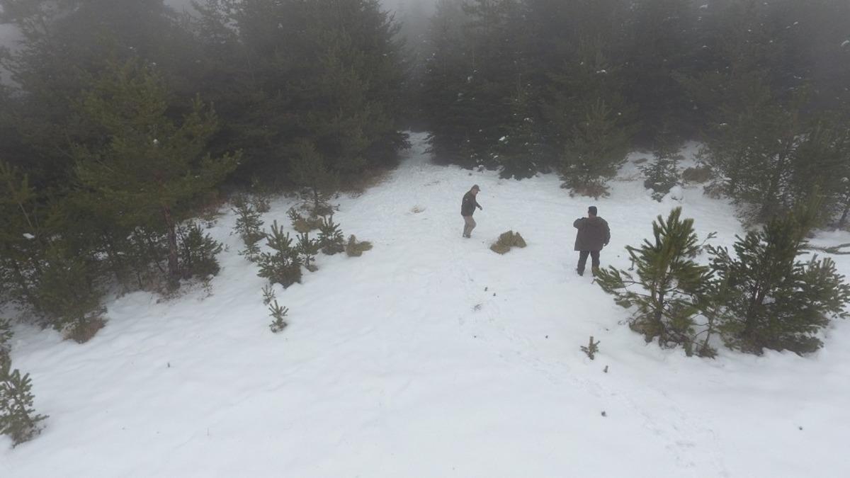 Sinop&rsquo;ta yabani hayvanlar i&ccedil;in yem bırakıldı