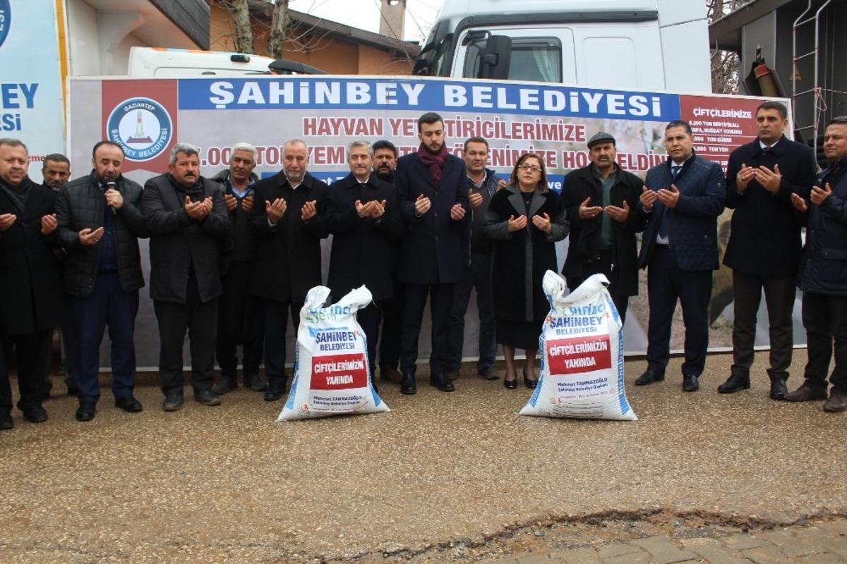 Şahinbey&rsquo;den hayvan yetiştiricilerine 7 bin ton yem desteği