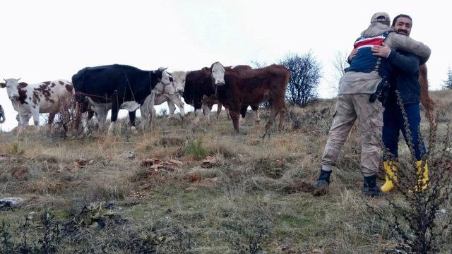 Kayıp inekler jandarma tarafından 7 kilometre uzakta bulundu