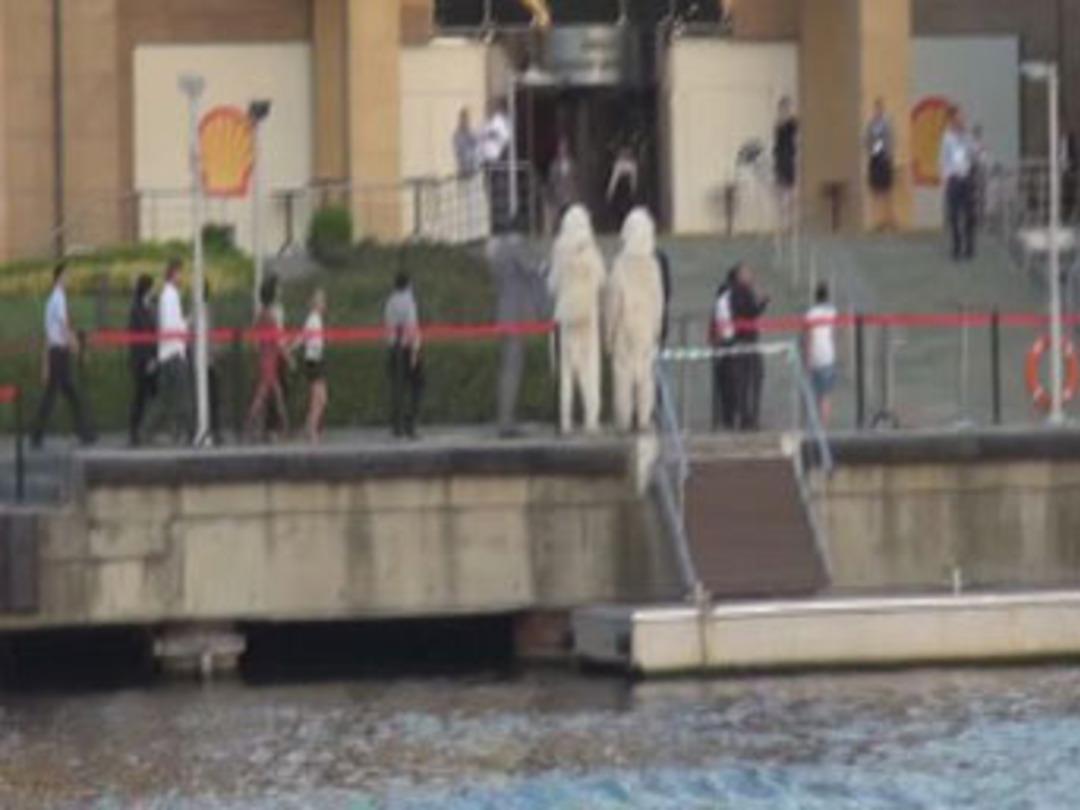 Konser provasını kutup ayıları bastı