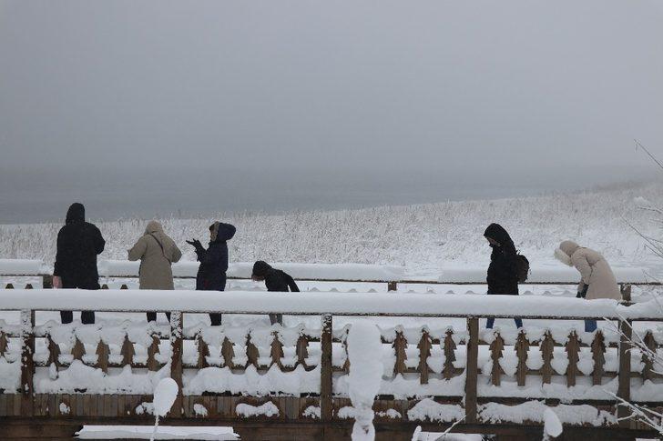 Kara doymak isteyen soluğu Abant’ta aldı G5