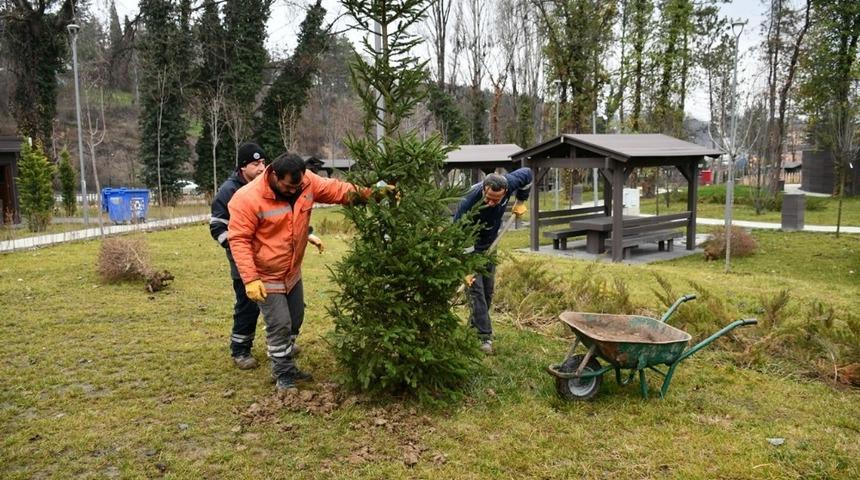 10 yılda 150 bin fidan dikildi