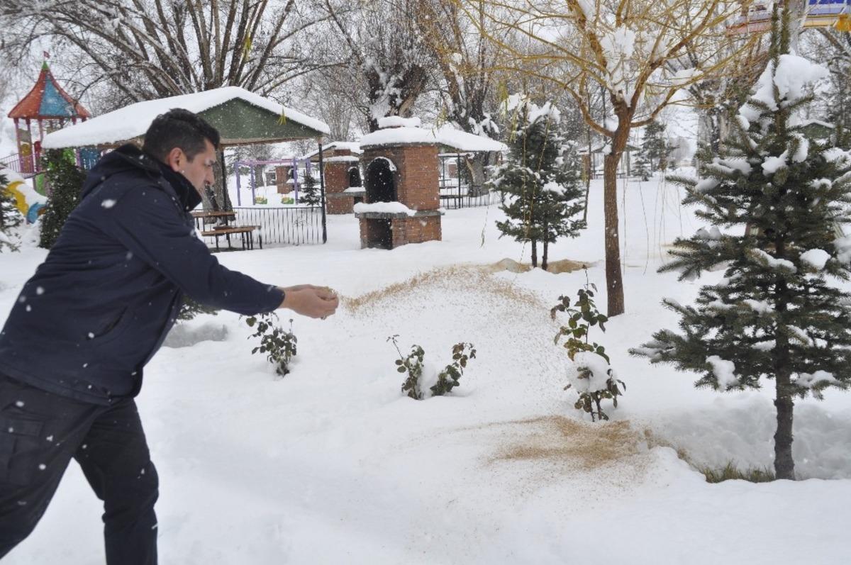 Şuhut Belediyesi sokak hayvanlarını unutmadı