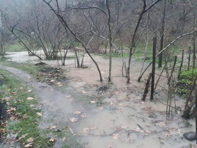 Giresun’da sağanak yağış su baskınlarına neden oldu