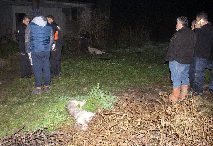 Adana’da köpek vahşeti! Dayısını parçalanmış halde buldu G2