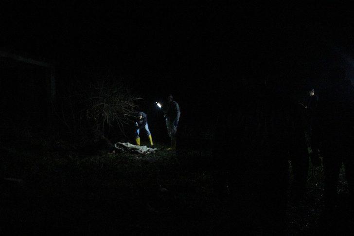 Adana’da köpek vahşeti! Dayısını parçalanmış halde buldu G5