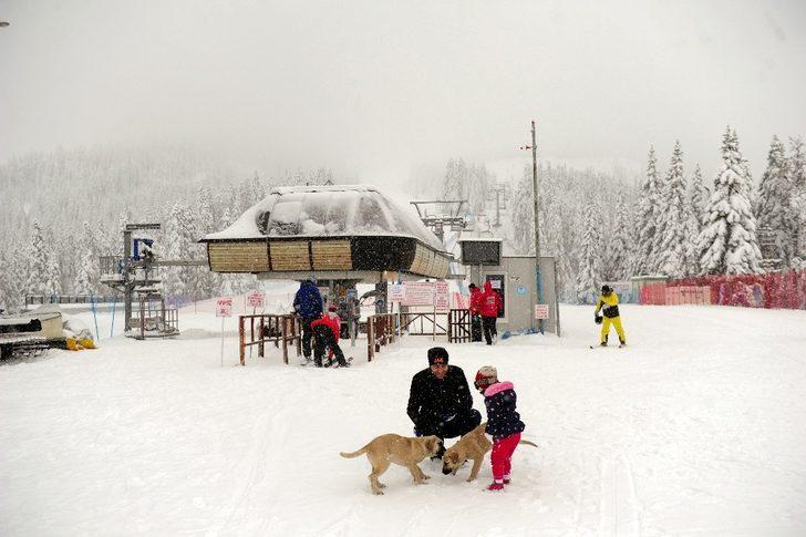 Ilgaz Dağı Milli Parkı güzelliğiyle kartpostalları aratmıyor G1