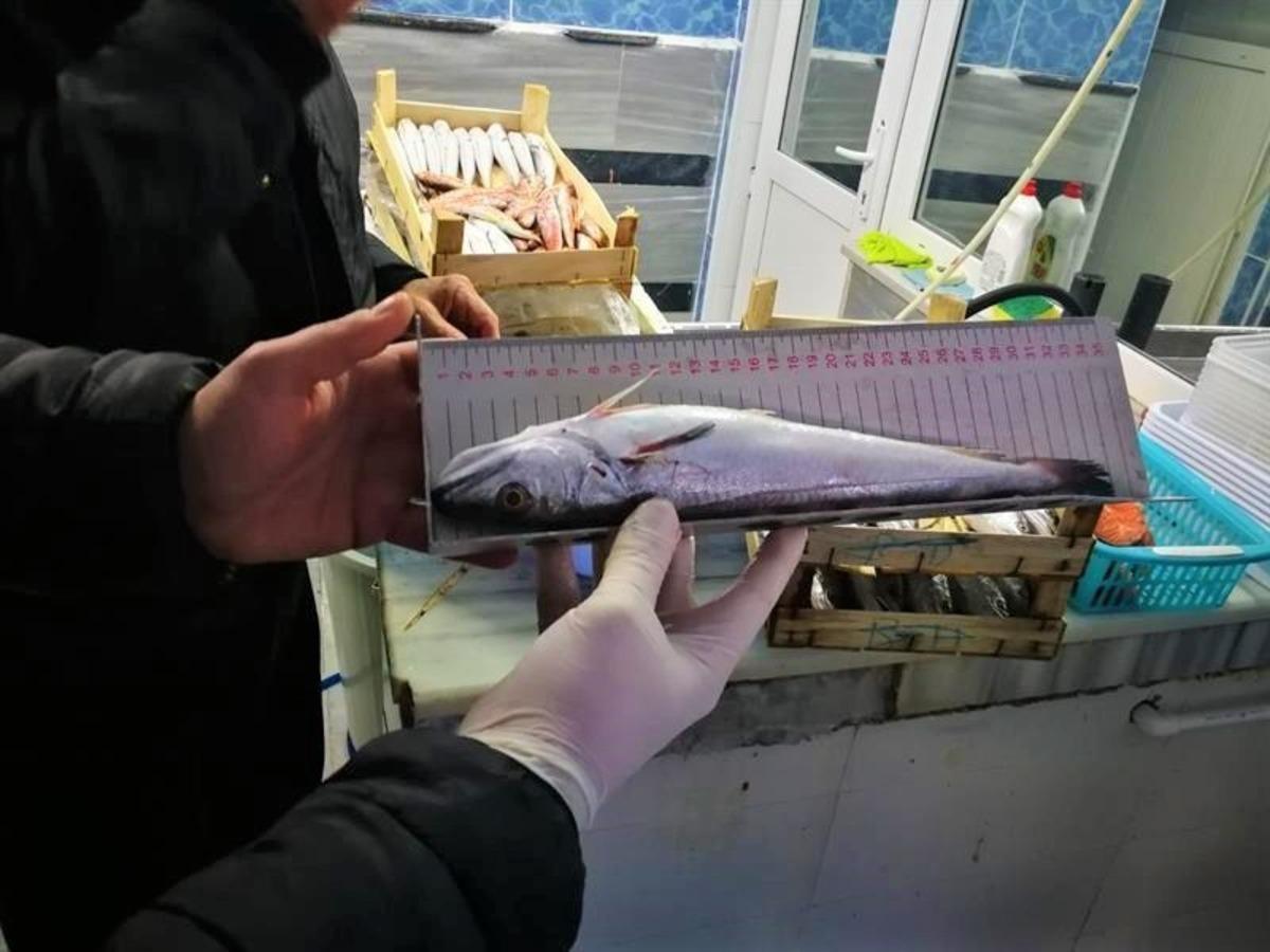 7 il&ccedil;ede eş zamanlı su &uuml;r&uuml;nleri denetimi yapıldı