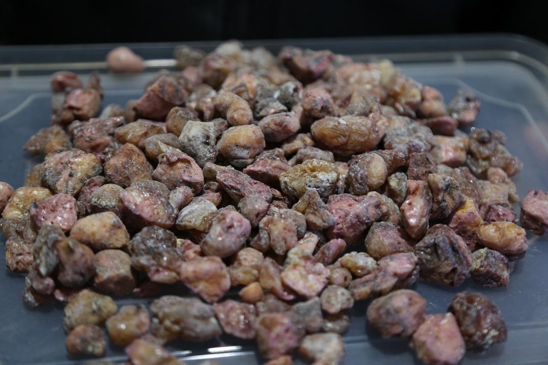 Artvin&rsquo;den &ccedil;ıkarılan &ccedil;am sakızının kilosu 600 liradan satılıyor