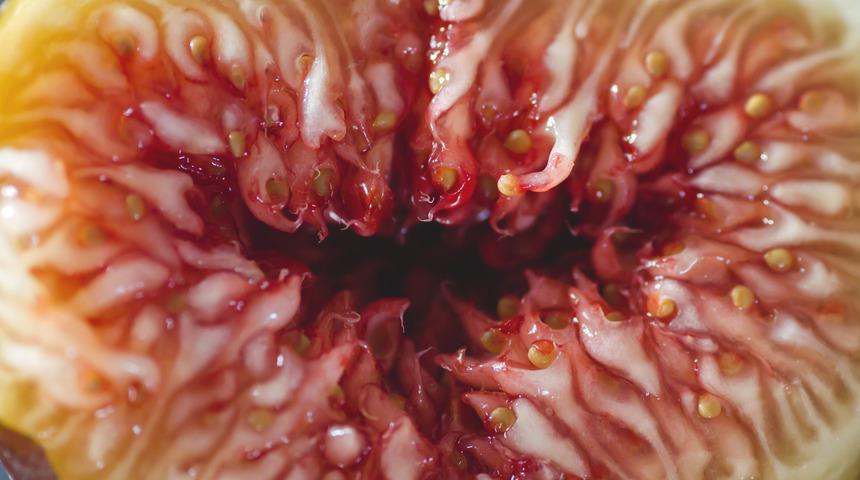 Food porn nedir, Food porn videolarının sırrı nedir?