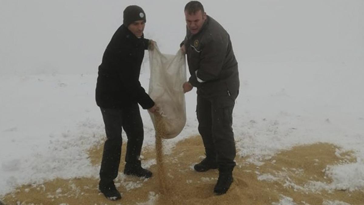 Doğadaki hayvanlar a&ccedil; kalmasın diye yem bıraktılar