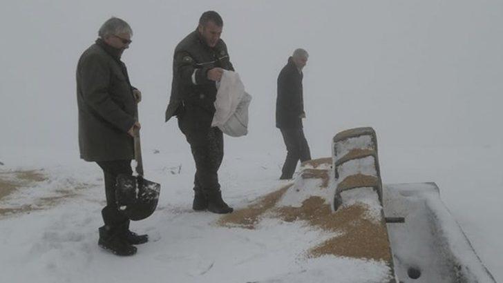 Doğadaki hayvanlar aç kalmasın diye yem bıraktılar G2