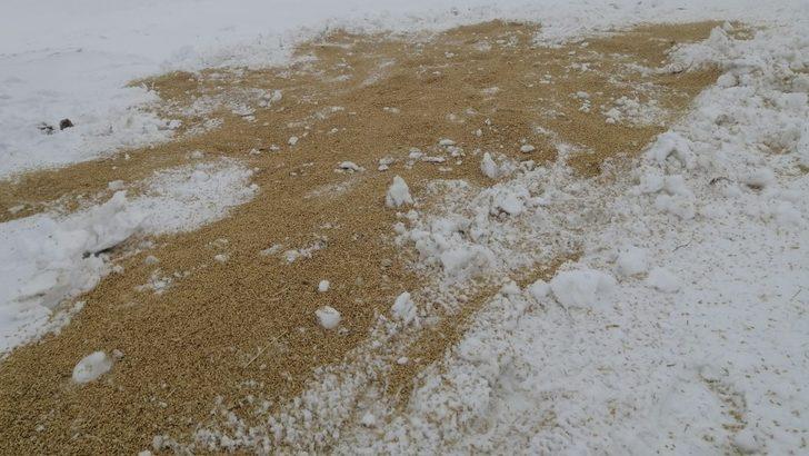 Doğadaki hayvanlar aç kalmasın diye yem bıraktılar G4