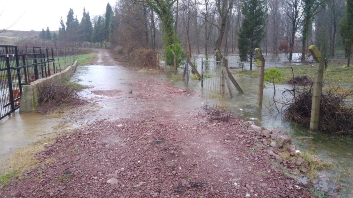 Vatandaşların ihbarı belediye ekiplerini harekete ge&ccedil;irdi