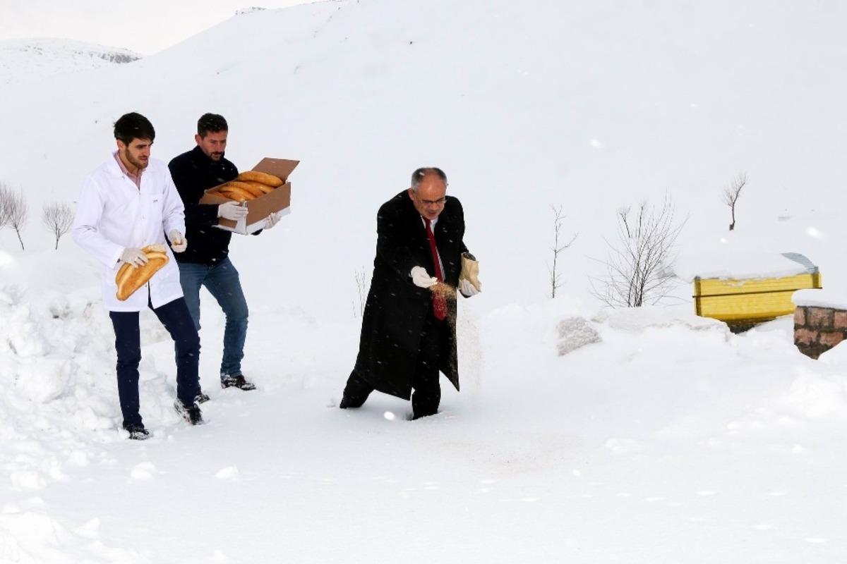 Yahyalı&rsquo;da yaban hayatına yem desteği