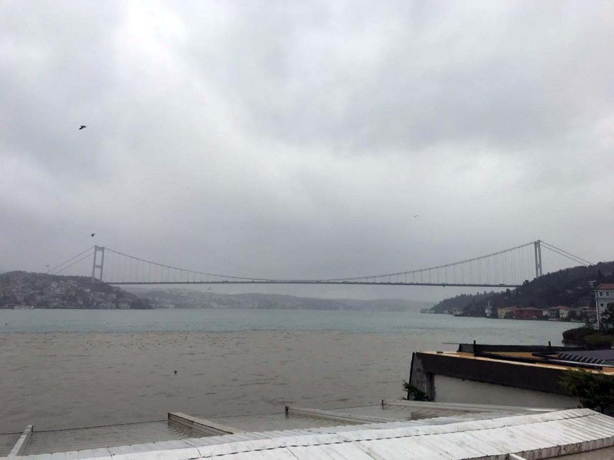 Boğaz'ın rengi değişti, Anadolu Hisarı sahiline &ccedil;amur aktı