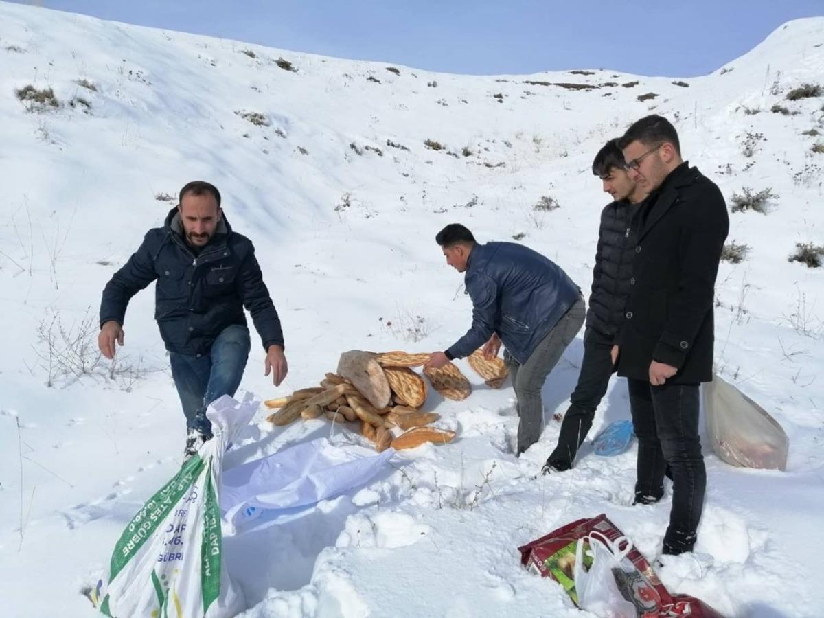Ahlat&rsquo;ta yaban hayvanları i&ccedil;in doğaya yem bırakıldı
