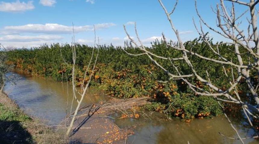 Tarım arazileri felaketin eşiğinden d&ouml;nd&uuml;