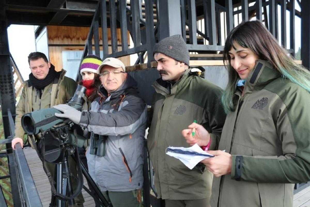 Hersek lag&uuml;n&uuml;nde KOSK sayımı yapıldı