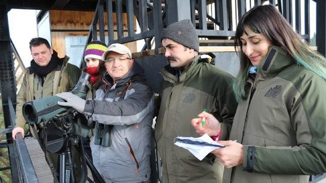 Hersek lagününde KOSK sayımı yapıldı