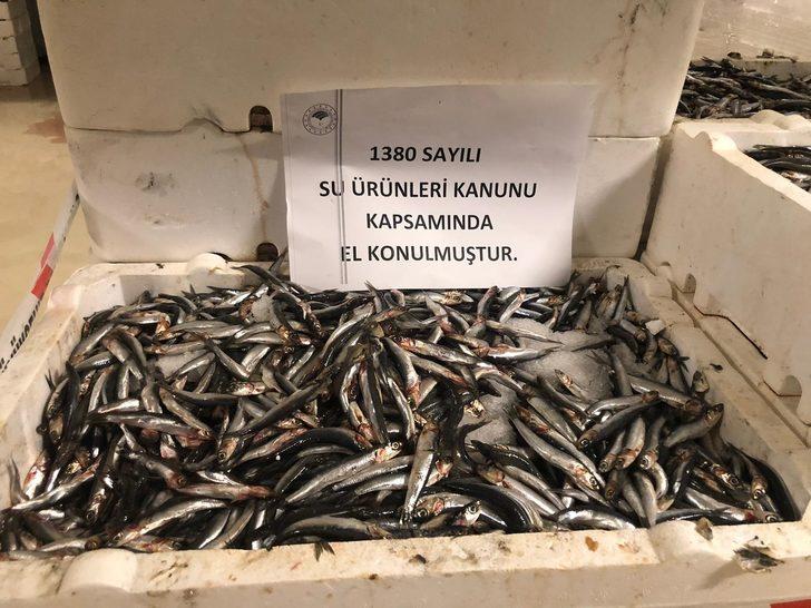 Marmara Denizi'nde yapılan denetimlerde 53 ton balığa el konuldu G2