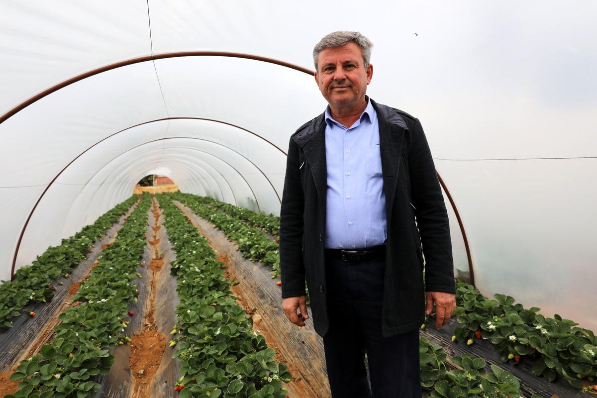&Ccedil;ilek, &uuml;reticisinin y&uuml;z&uuml;n&uuml; g&uuml;ld&uuml;rd&uuml;
