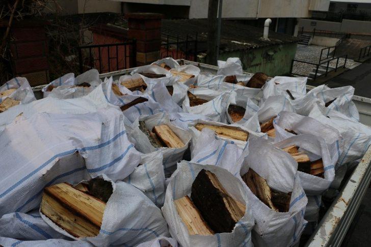 Budanan ağaçlardan elde edilen odunlar Kartallı Kudret teyzenin evini ısıtacak G2