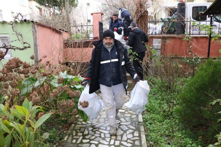 Budanan ağaçlardan elde edilen odunlar Kartallı Kudret teyzenin evini ısıtacak G4